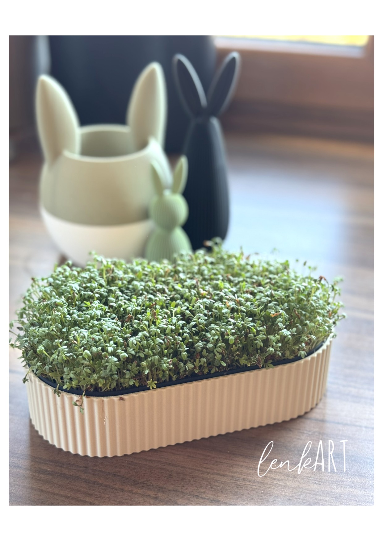 microgreens anzuchtschale oval 6